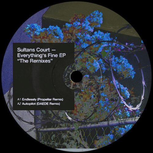 Endlessly (Propellar Remix) – Sultans&nbsp;Court