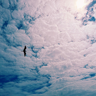 Drifting – MikeLitz